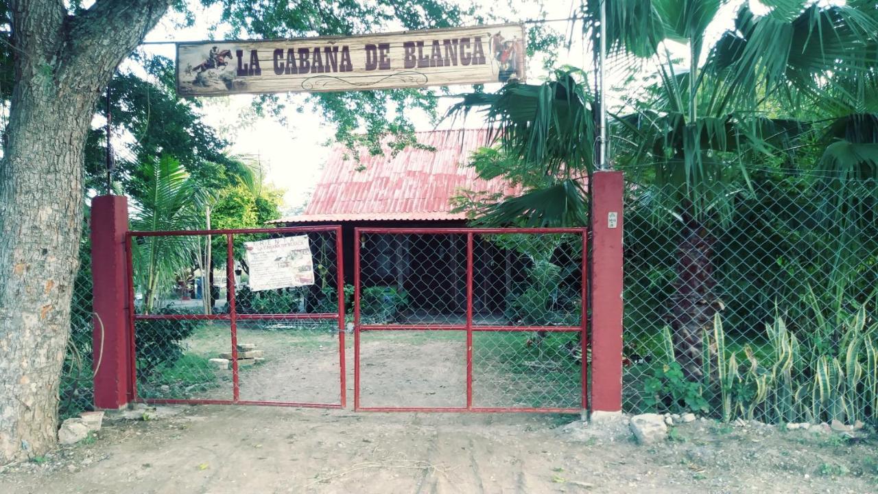 La Cabana De Blanca Jalpan de Serra Eksteriør billede
