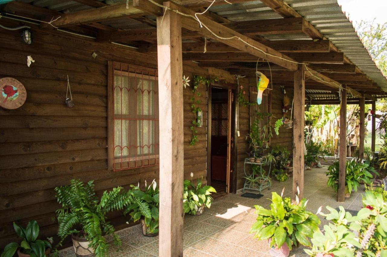 La Cabana De Blanca Jalpan de Serra Eksteriør billede