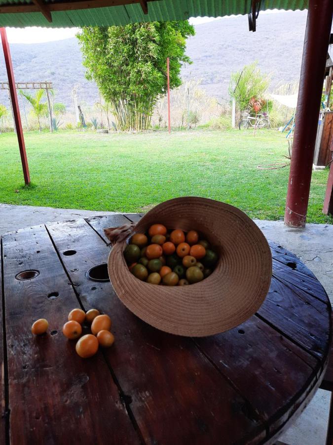 La Cabana De Blanca Jalpan de Serra Eksteriør billede