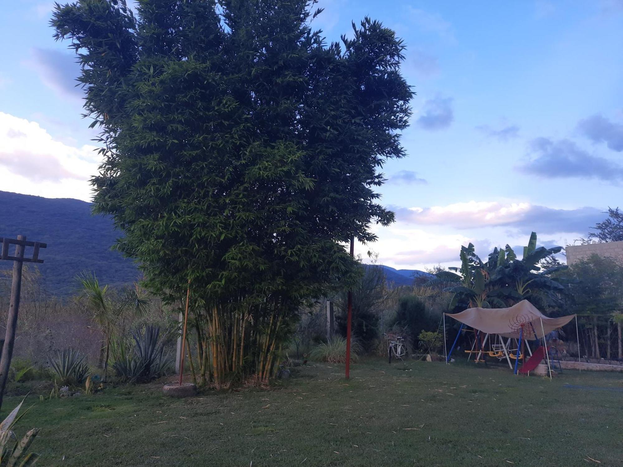 La Cabana De Blanca Jalpan de Serra Værelse billede
